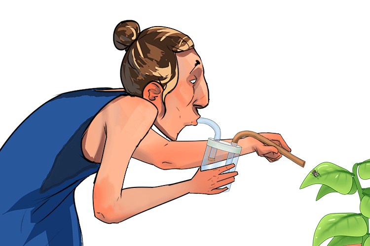 When the user sucks on the inhalation tube, air is drawn into the jar through the collecting tube, pulling the insect into the tube without harming it.